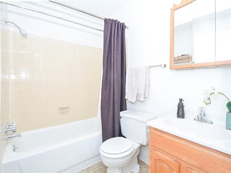 Apartment Bathroom with Shower